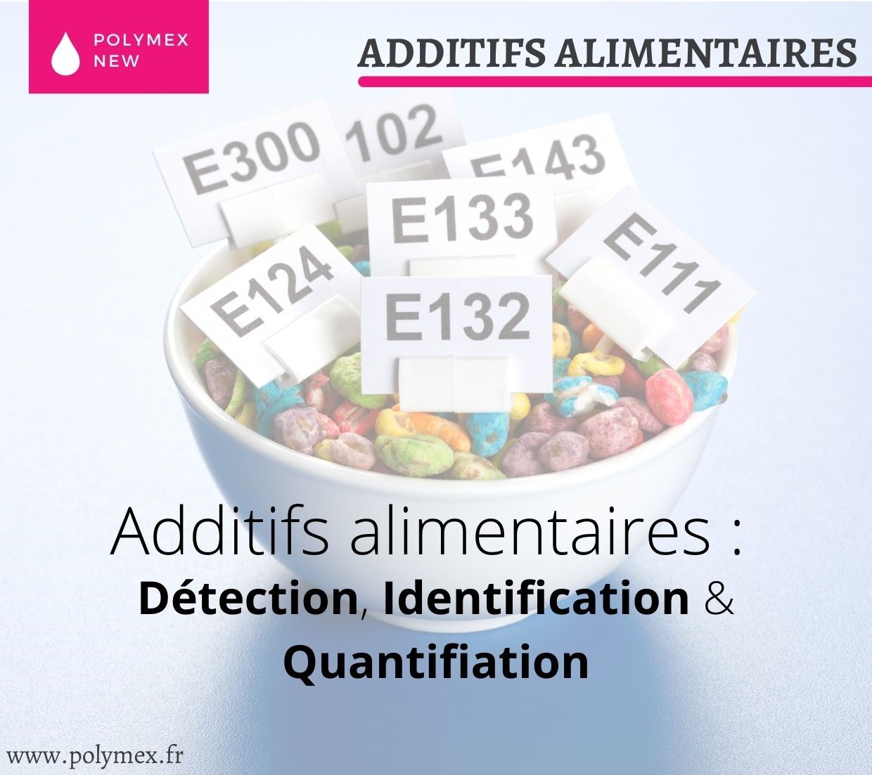 ADDITIFS ALIMENTAIRES : PARTOUT DANS NOS CUISINES - Laboratoire d ...